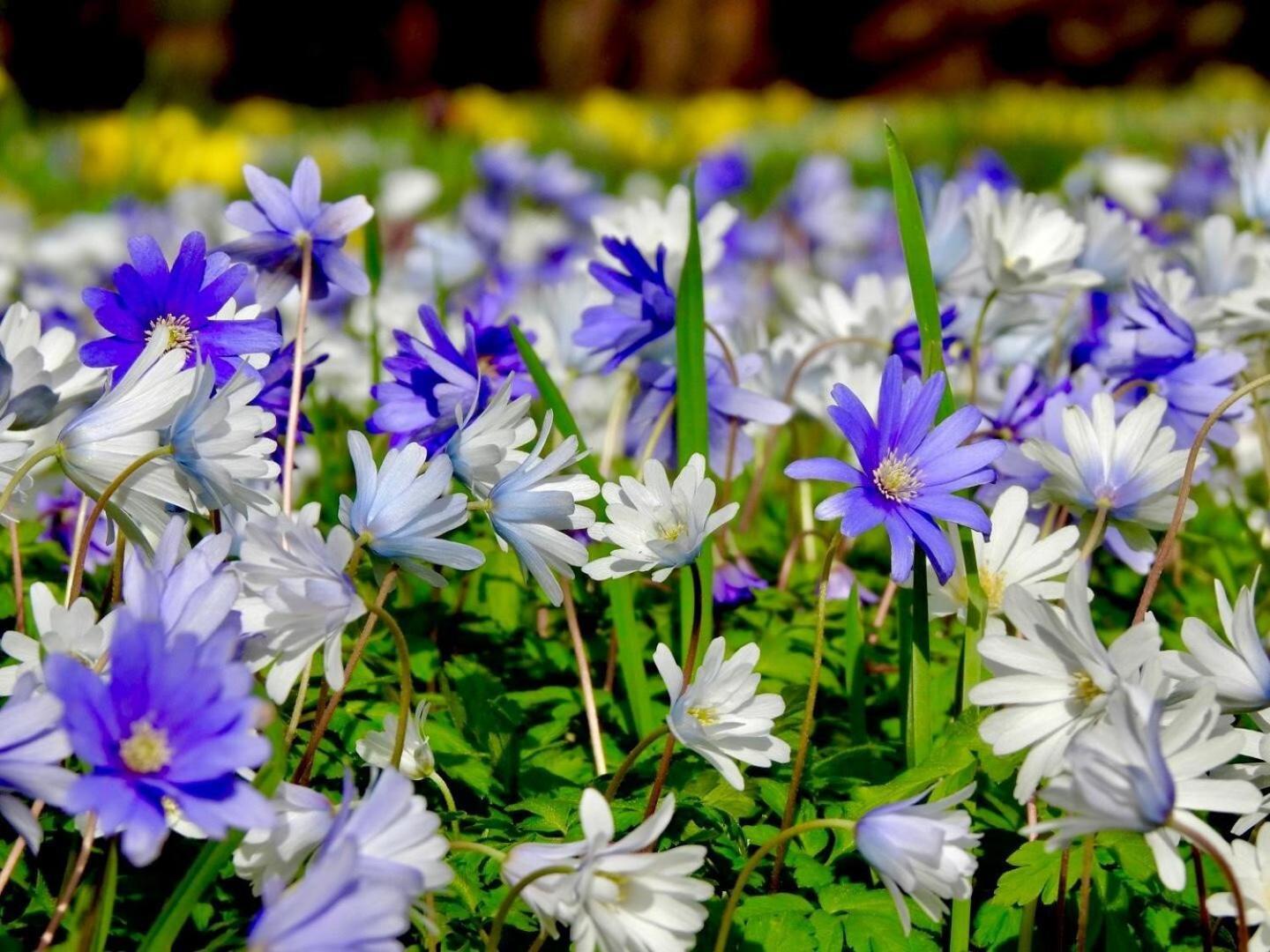 Thornton Manor - Holiday Cottages And Apartments Heswall Bilik gambar