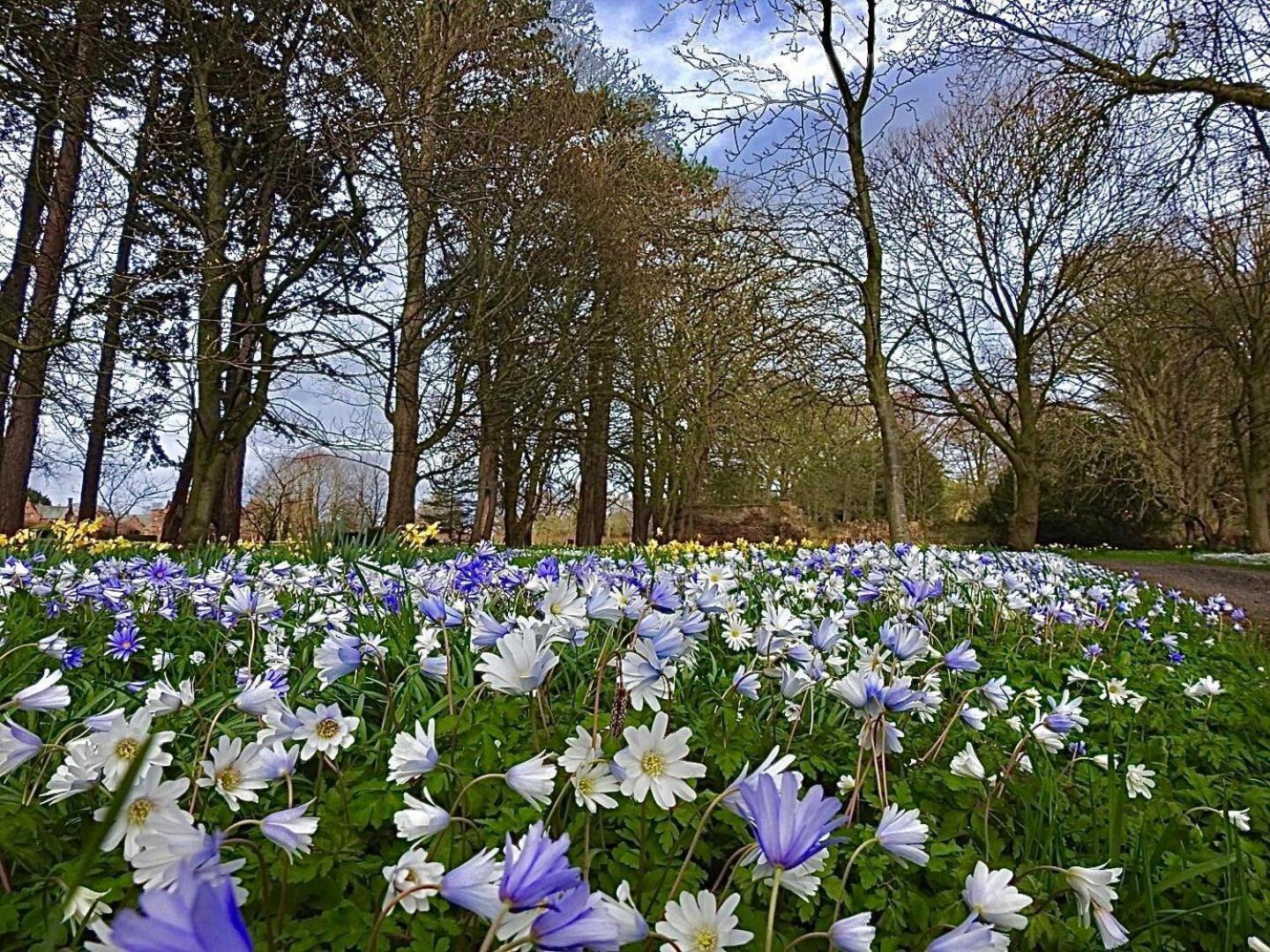 Thornton Manor - Holiday Cottages And Apartments Heswall Bilik gambar