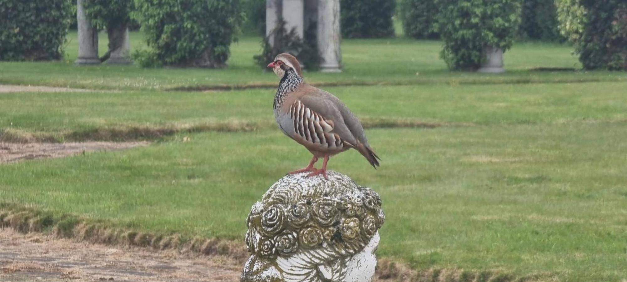 Thornton Manor - Holiday Cottages And Apartments Heswall Bilik gambar